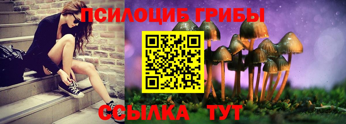 Галлюциногенные грибы Psilocybe  Вход с VPN  Галлюциногенные грибы MAGIC MUSHROOMS  Сибай 